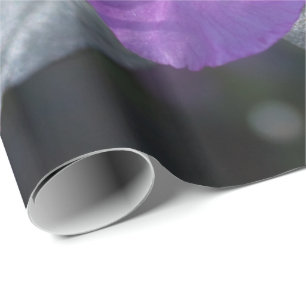 elegante, hübsche Frühling lila azalea Blume. Geschenkpapier