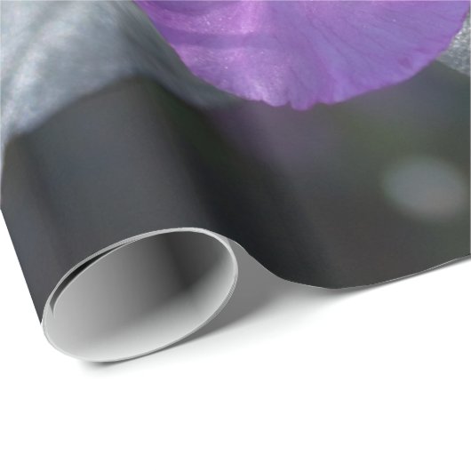 elegante, hübsche Frühling lila azalea Blume. Geschenkpapier (Rolleneckpunkt)