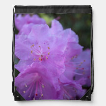 elegante, hübsche Frühling lila azalea Blume.