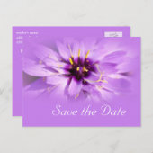 Elegante, hübsche lila Blume Save the Date Ankündigungspostkarte (Vorne/Hinten)