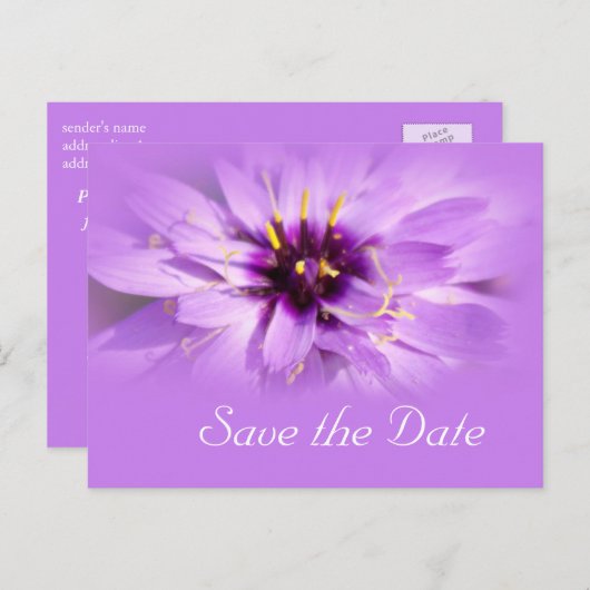 Elegante, hübsche lila Blume Save the Date Ankündigungspostkarte (Vorne/Hinten)