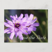 Elegante, hübsche lila Blume Save the Date Ankündigungspostkarte (Vorderseite)