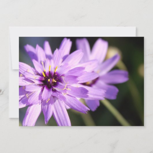 Elegante, hübsche lila Blume Sommerhochzeit Einladung (Rückseite)