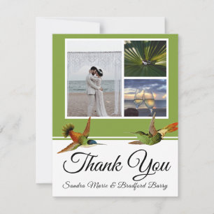 Elegante Hummingbird Hochzeitssammlung Foto Dankeskarte