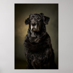 Elegante Hund-Silhouette Poster