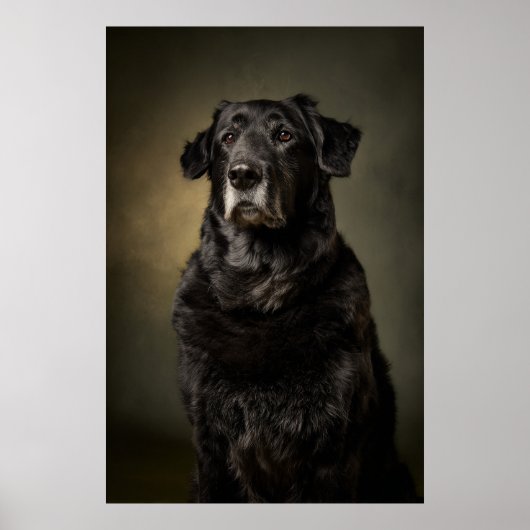 Elegante Hund-Silhouette Poster (Vorne)