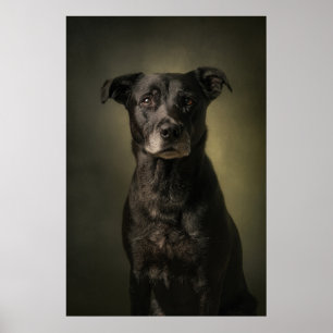 Elegante Hund-Silhouette Poster