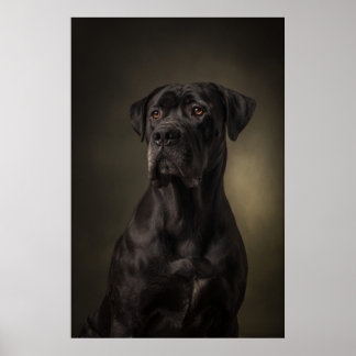 Elegante Hund-Silhouette Poster