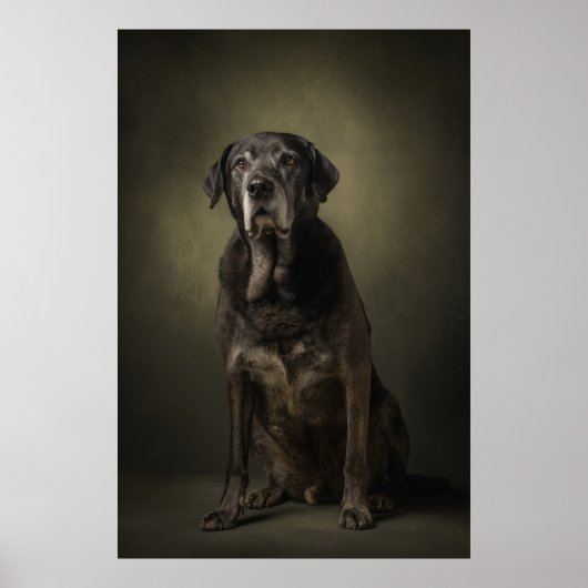 Elegante Hund-Silhouette Poster (Vorne)