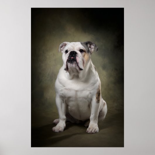 Elegante Hund-Silhouette Poster (Vorne)