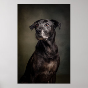 Elegante Hund-Silhouette Poster