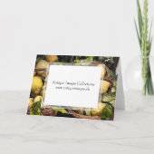 Elegante italienische karte (Rückseite)