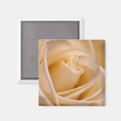 Elegante Ivory-Rose Magnet (Vorderseite/Rückseite)