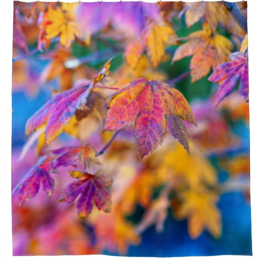 Elegante japanische Ahorn-Blätter Duschvorhang (Vorderseite)