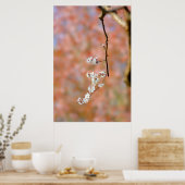 Elegante japanische Aprikosenblüten Poster (Küche)