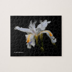 Elegante japanische Crested Iris White Blume Puzzle
