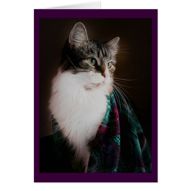 Elegante Katzen-leere Karten (Vorne)