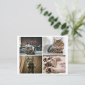 ELEGANTE KATZEN POSTKARTE (Stehend Vorderseite)