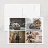 ELEGANTE KATZEN POSTKARTE (Vorne/Hinten)