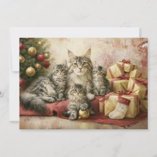 Elegante Katzenkätzchen Weihnachten
