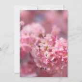 Elegante Kirschblüte Sakura Blumenzwiebelhochzeit Save The Date (Rückseite)