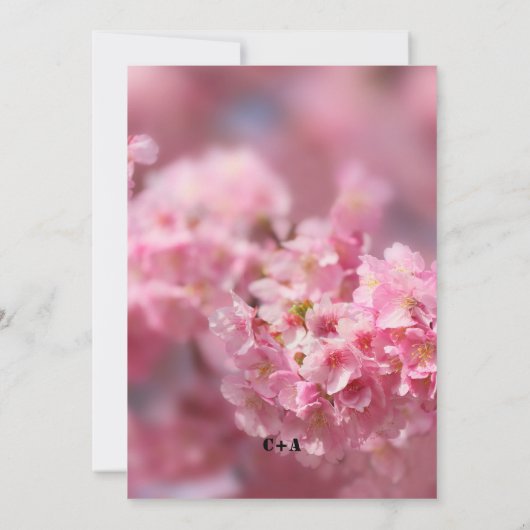Elegante Kirschblüte Sakura Blumenzwiebelhochzeit Save The Date (Rückseite)
