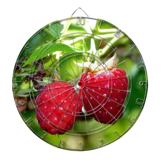 Elegante klassische Himbeeren Dartscheibe (vorne)