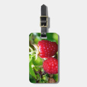 Elegante klassische Himbeeren Gepäckanhänger (Vorderseite vertikal)