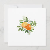 Elegante kleine Süsse Citrus Orange WasserEinladun Einladung (Rückseite)