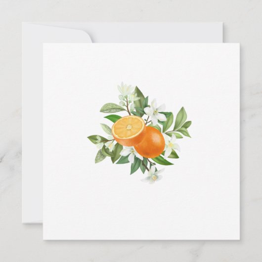 Elegante kleine Süsse Citrus Orange WasserEinladun Einladung (Rückseite)