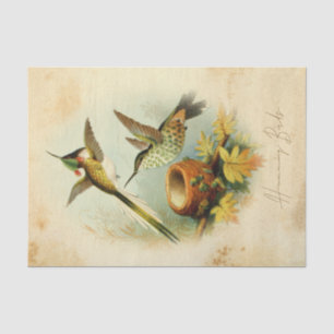 Elegante Kolibris Seidenpapier