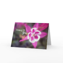 Elegante Kolumne rosa Denken