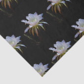 Elegante Königin der Nachtkaktus-Blume Seidenpapier (Detail)