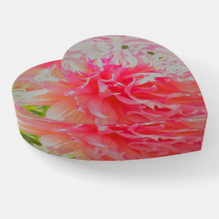 Elegante Korallen und rosa Dekorative Dahlia Briefbeschwerer