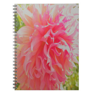Elegante Korallen und rosa Dekorative Dahlia Notizblock