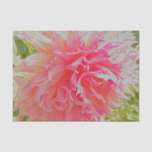 Elegante Korallen und rosa Dekorative Dahlia Seidenpapier