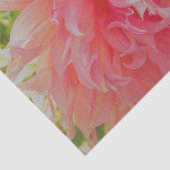 Elegante Korallen und rosa Dekorative Dahlia Seidenpapier (Ausschnitt)