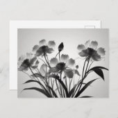 Elegante Kosmos-Blume in Bloom Postkarte (Vorne/Hinten)