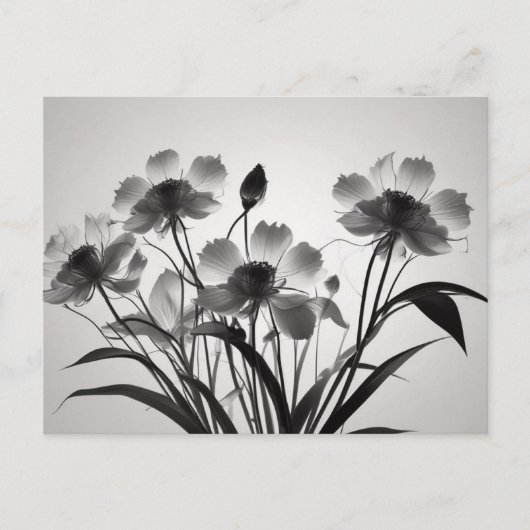 Elegante Kosmos-Blume in Bloom Postkarte (Vorderseite)