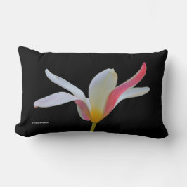Elegante Lady Tulip White Pink Blume Lendenkissen