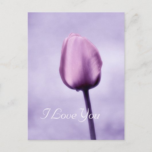 Elegante Lavender Lila Tulip I Liebe Sie Postkarte (Vorderseite)