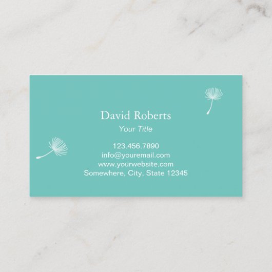 Elegante Leuchte Aquamarine Fotografie Visitenkarte (Rückseite)