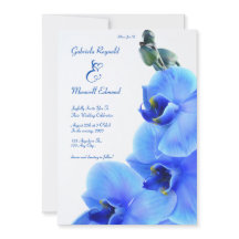 Elegante Liebe Blauen Orchideen Hochzeit