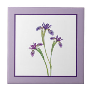 Elegante Lila Aquarellfarben Iris Blume Botanisch Fliese