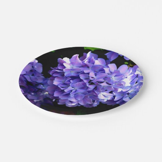 Elegante lila, blühende lila Hydrangeas Pappteller (Schrägansicht)