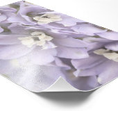 Elegante Lila Blume Blüten Blumen Fotodruck (Ecke)