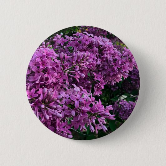 Elegante lila Blumen lila Lila Button (Vorderseite)
