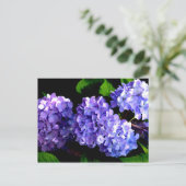 Elegante, lila Blumen und Auberginen Postkarte (Stehend Vorderseite)