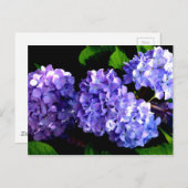 Elegante, lila Blumen und Auberginen Postkarte (Vorne/Hinten)