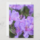 Elegante lila Blumenfrüchte/Sommerhochzeit Einladung (Rückseite)